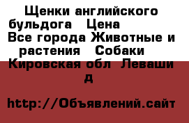 Щенки английского бульдога › Цена ­ 40 000 - Все города Животные и растения » Собаки   . Кировская обл.,Леваши д.